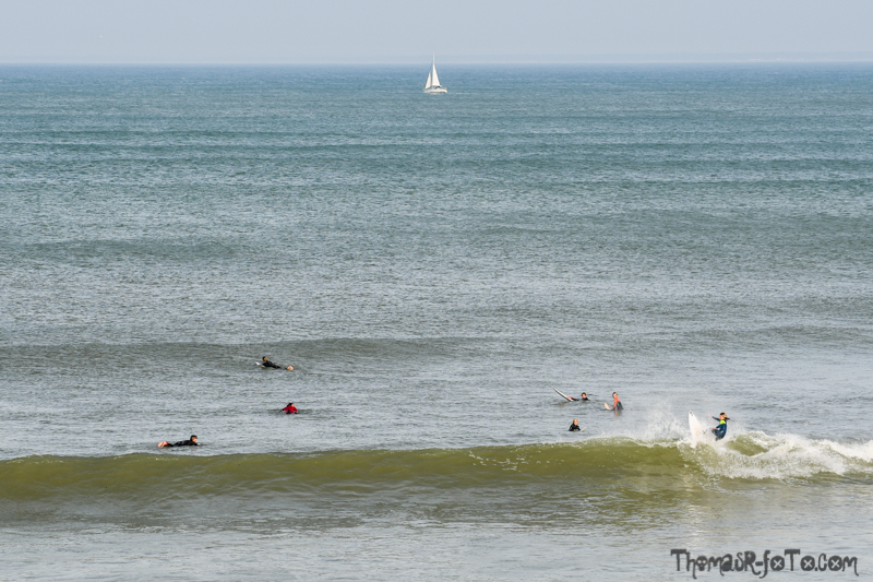 R_131018_800px-22.jpg R_131018_800px-22.jpg