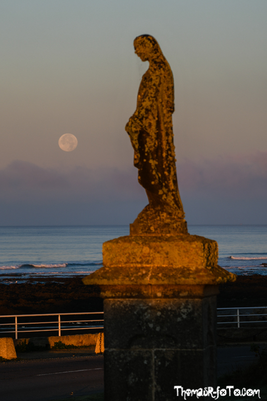 B_1018_800px-25.jpg B_1018_800px-25.jpg