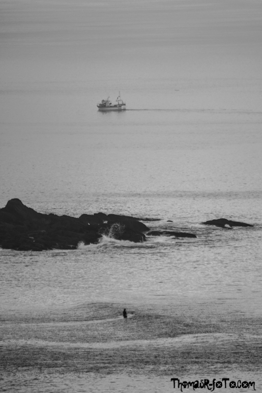 B_1018_800px-26.jpg B_1018_800px-26.jpg