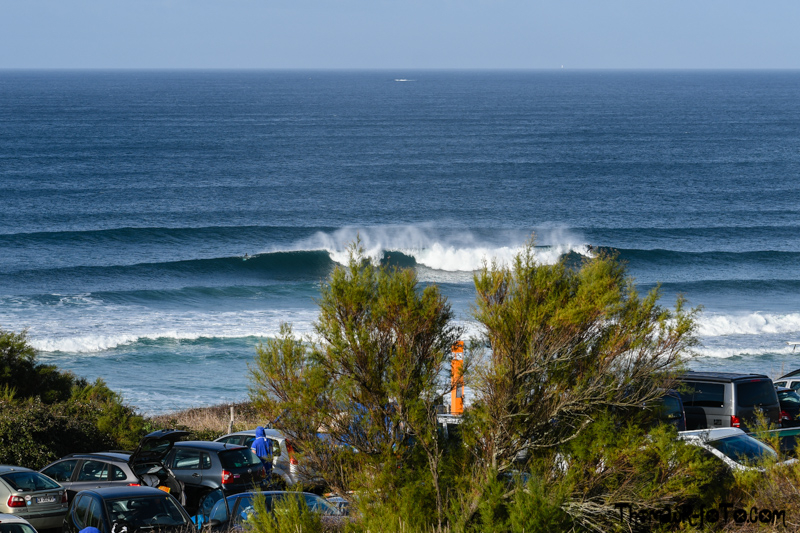 B_1018_800px-29.jpg B_1018_800px-29.jpg