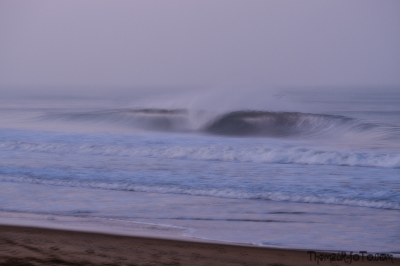 V_161118_800px-1.jpg V_161118_800px-1.jpg