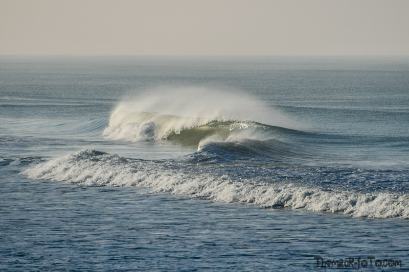 V_161118_800px-6.jpg V_161118_800px-6.jpg