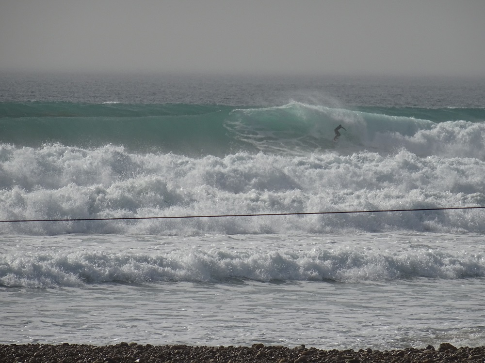 Banana le matin de Killer / DSC00510.JPG DSC00510.JPG