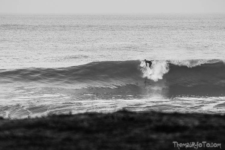 V_f0219-1.jpg V_f0219-1.jpg