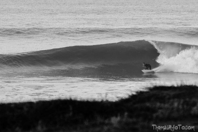 V_f0219-3.jpg V_f0219-3.jpg