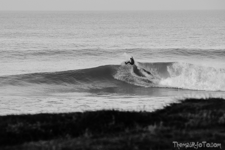 V_f0219-4.jpg V_f0219-4.jpg