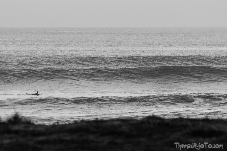 V_f0219-5.jpg V_f0219-5.jpg