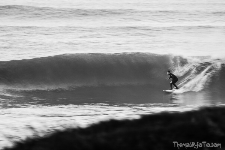 V_f0219-7.jpg V_f0219-7.jpg