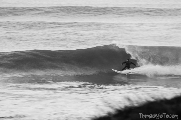 V_f0219-8.jpg V_f0219-8.jpg