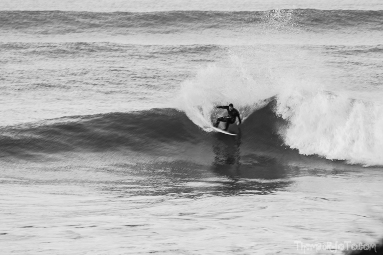 V_f0219-10.jpg V_f0219-10.jpg