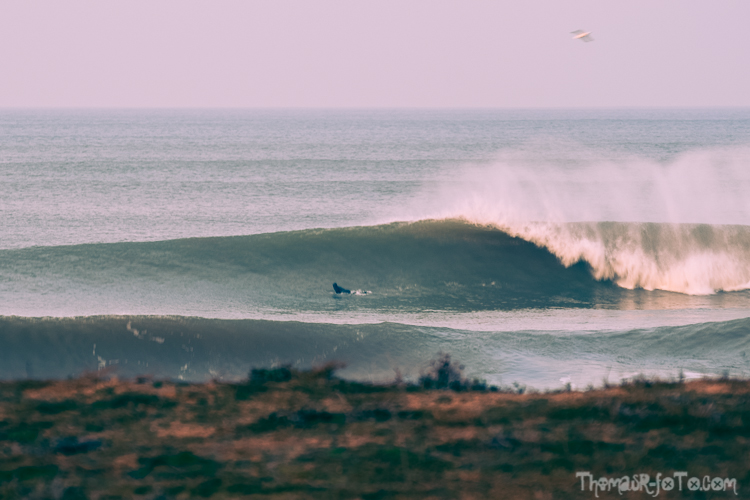 V_f0219-11.jpg V_f0219-11.jpg