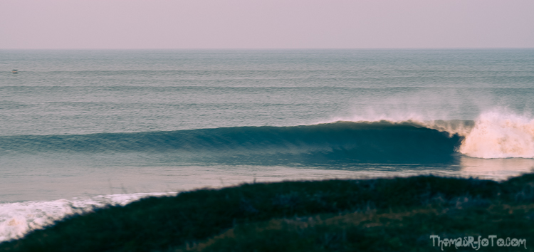 V_f0219-12.jpg V_f0219-12.jpg