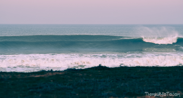 V_f0219-15.jpg V_f0219-15.jpg