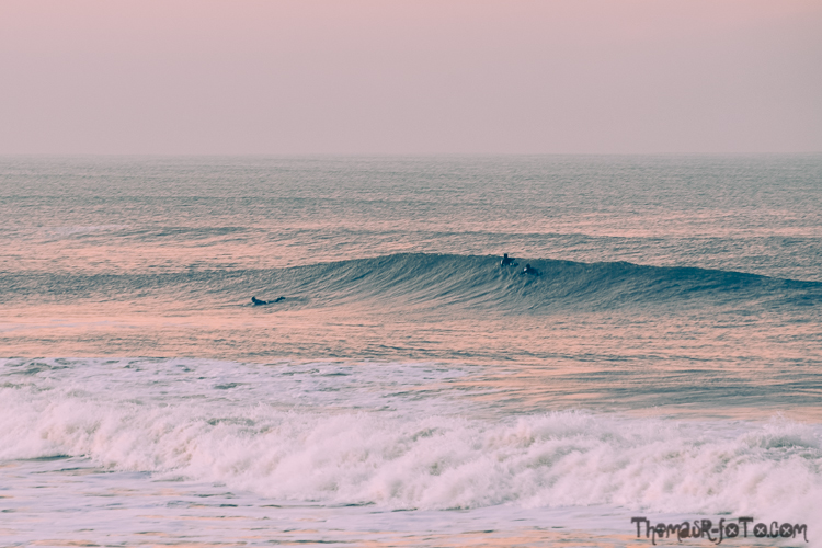 V_f0219-17.jpg V_f0219-17.jpg