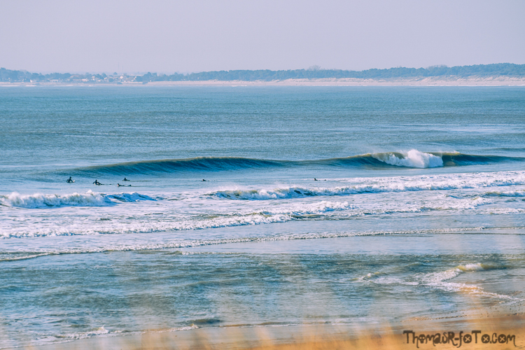 V_f0219-18.jpg V_f0219-18.jpg