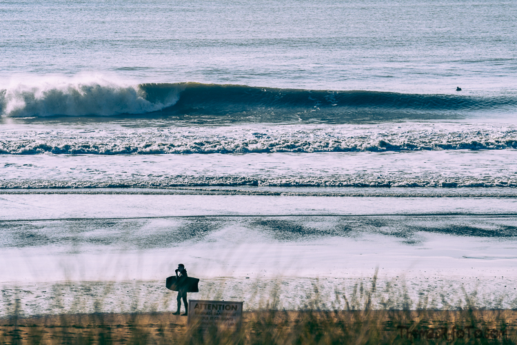 V_f0219-19.jpg V_f0219-19.jpg