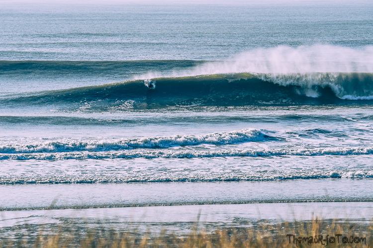 V_f0219-20.jpg V_f0219-20.jpg