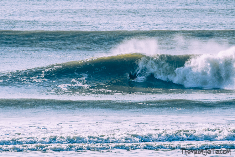 V_f0219-21.jpg V_f0219-21.jpg