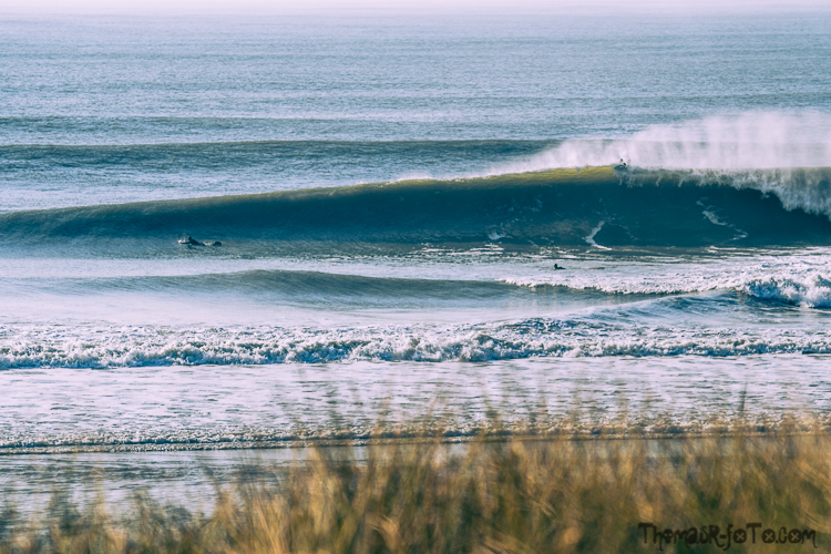 V_f0219-22.jpg V_f0219-22.jpg