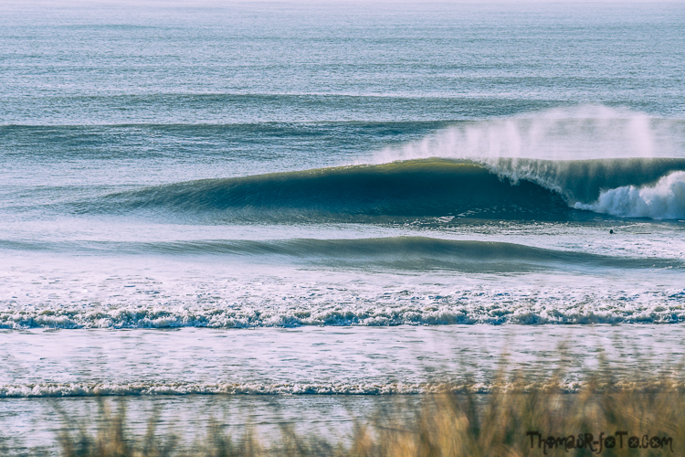 V_f0219-23.jpg V_f0219-23.jpg