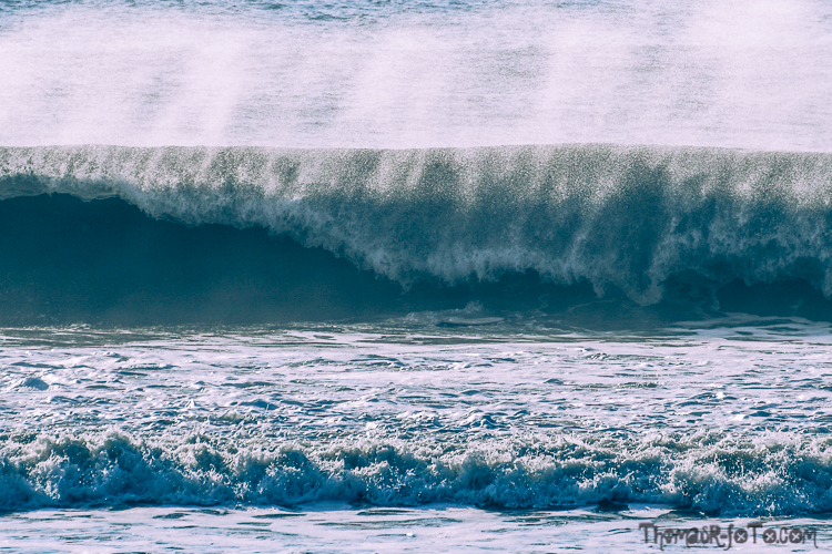 V_f0219-24.jpg V_f0219-24.jpg