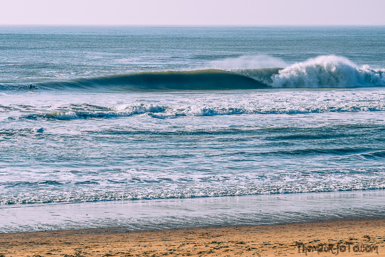 V_f0219-25.jpg V_f0219-25.jpg