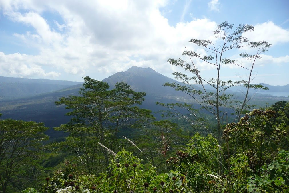 P1030386.JPG P1030386.JPG