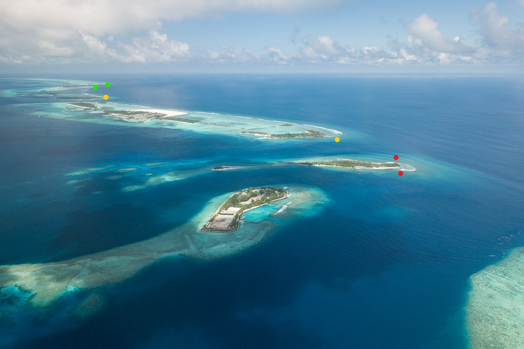 Maldives2019- (28)_LI.jpg Maldives2019- (28)_LI.jpg