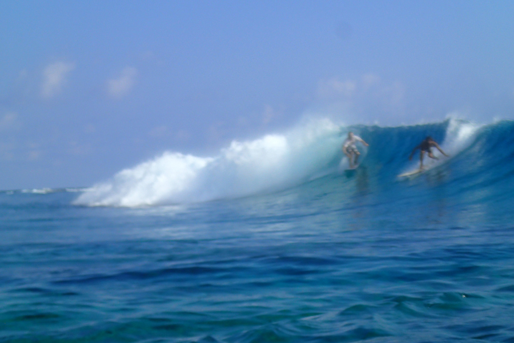 Maldives2019- (64).jpg Maldives2019- (64).jpg