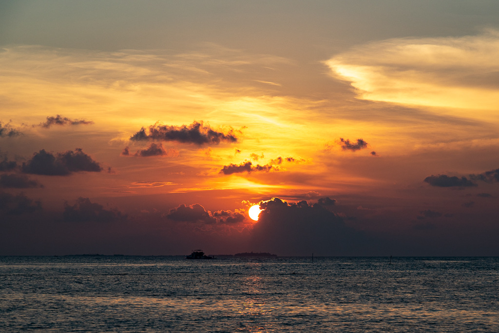 Maldives2019- (14).jpg Maldives2019- (14).jpg