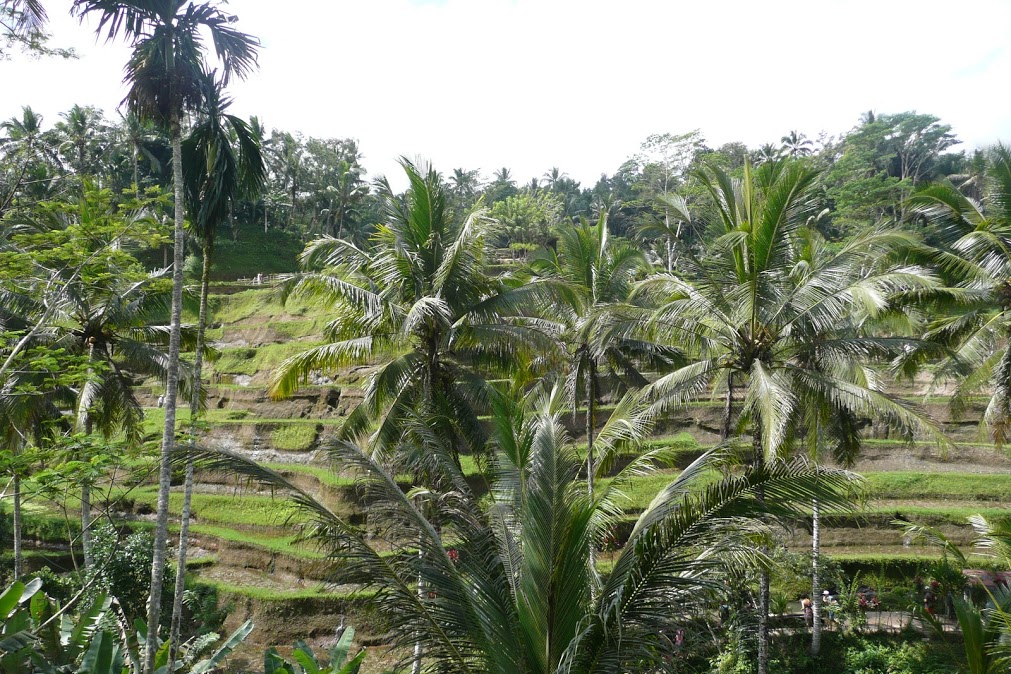 P1030394.JPG P1030394.JPG