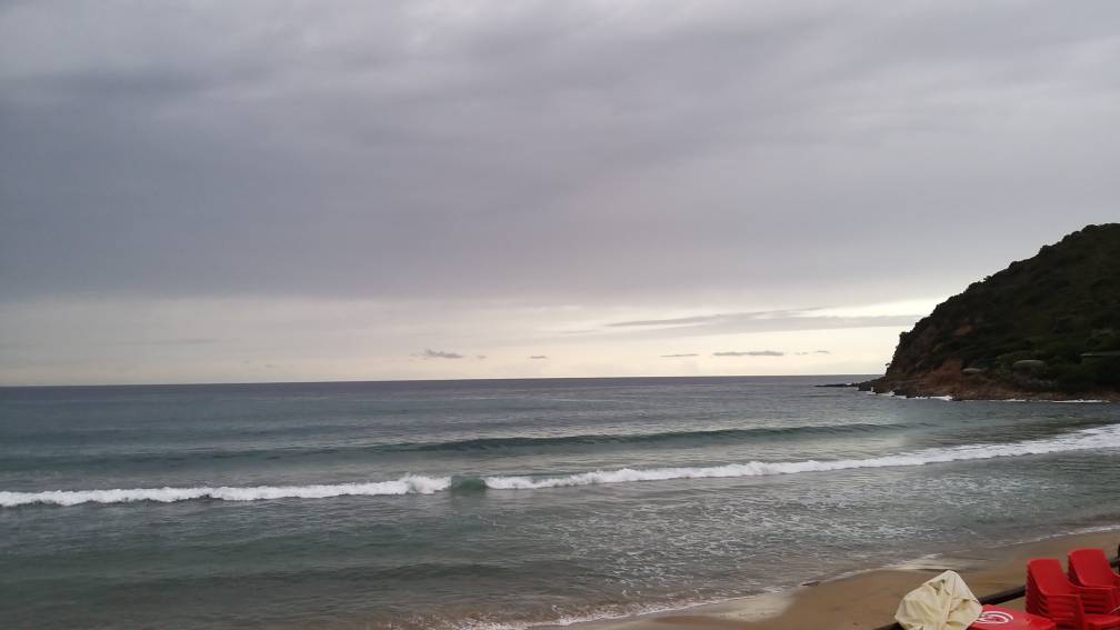 20191024_084302.jpeg 20191024_084302.jpeg