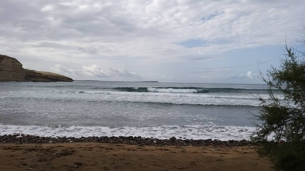 20191024_120128.jpeg 20191024_120128.jpeg