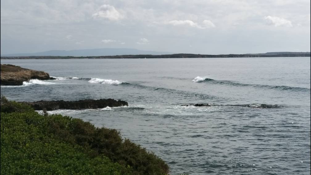 20191024_130047.jpeg 20191024_130047.jpeg