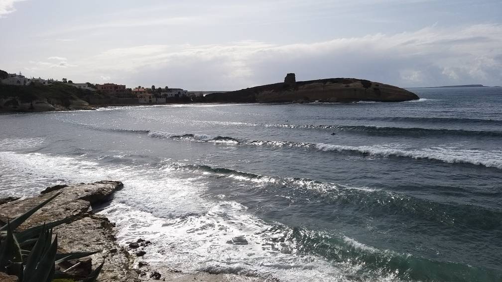 20191024_141512.jpeg 20191024_141512.jpeg