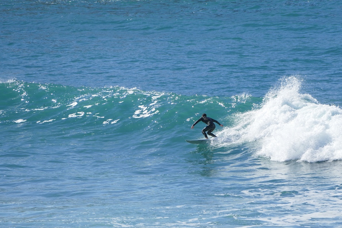 P1100107.JPG P1100107.JPG