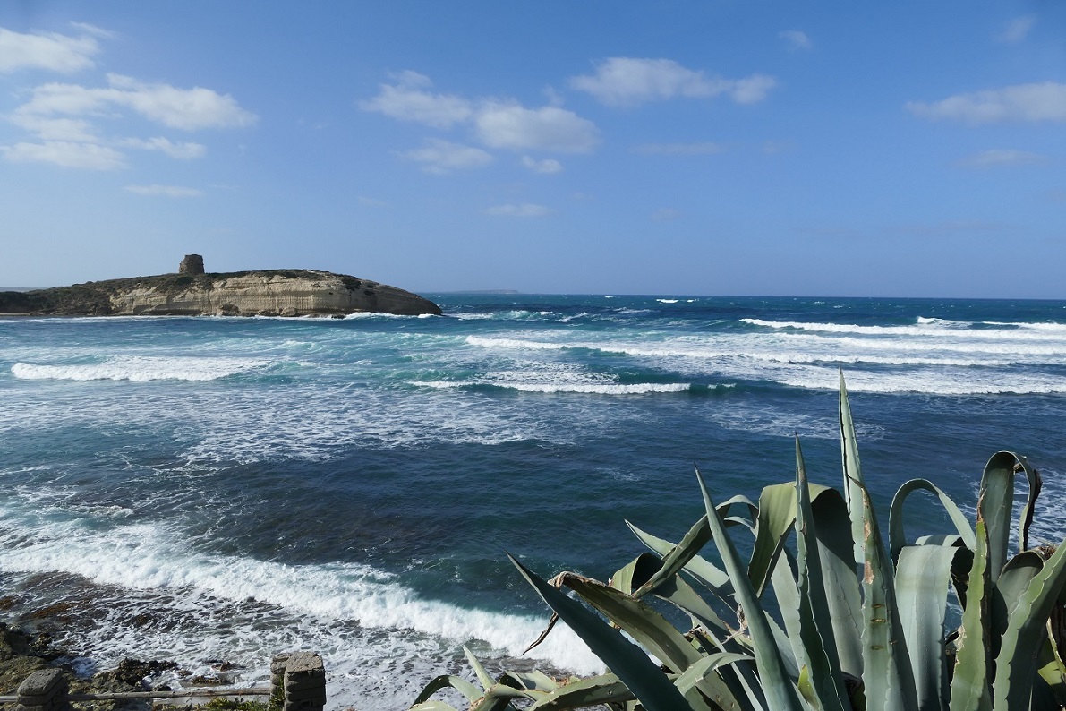 P1100150.JPG P1100150.JPG