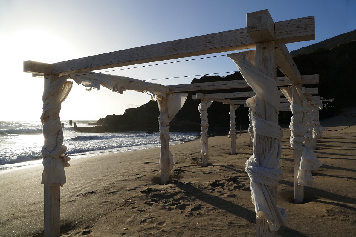 P1100156.JPG P1100156.JPG