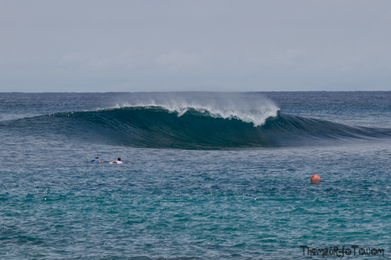 I0917_Sipora-20.jpg I0917_Sipora-20.jpg