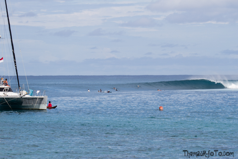 I0917_Sipora-27.jpg I0917_Sipora-27.jpg