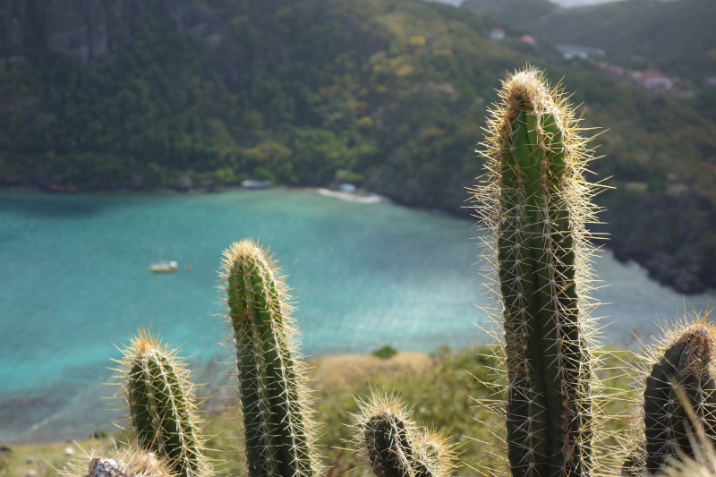 DSC04556.JPG DSC04556.JPG