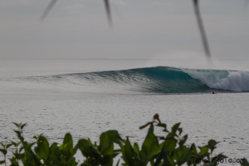 I0917_Sipora-35.jpg I0917_Sipora-35.jpg