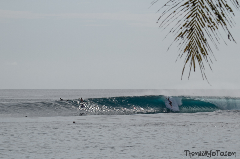 I0917_Sipora-36.jpg I0917_Sipora-36.jpg