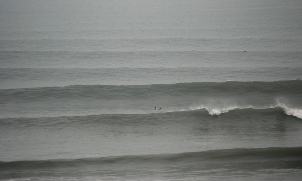 DSC_7981.JPG DSC_7981.JPG