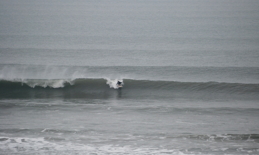 DSC_7998.JPG DSC_7998.JPG