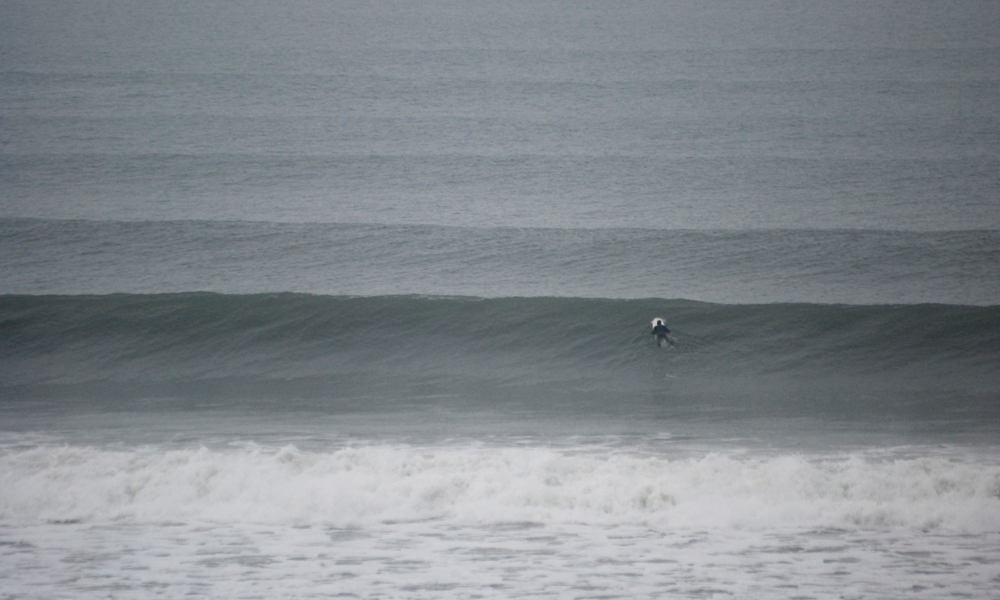DSC_7999.JPG DSC_7999.JPG