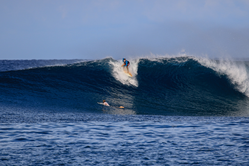 I0917_Sipora_shoot-1-2.jpg I0917_Sipora_shoot-1-2.jpg