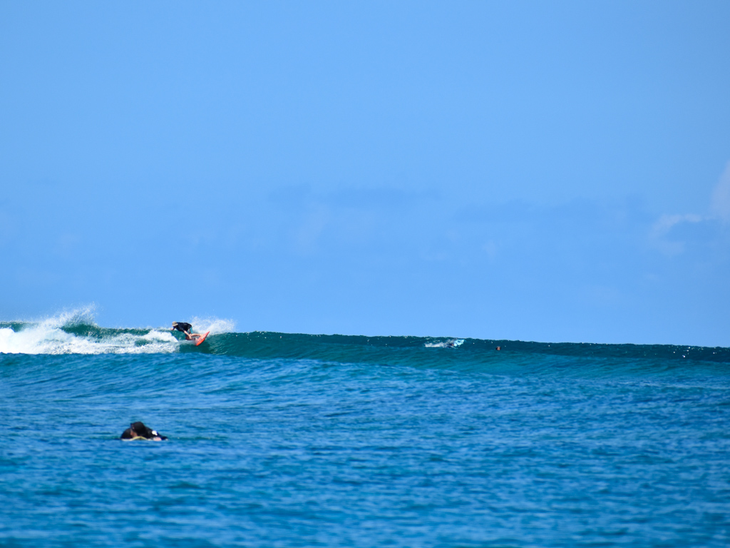 20220426-sOrOli-Web2048-SURF-2704-00078.jpg 20220426-sOrOli-Web2048-SURF-2704-00078.jpg