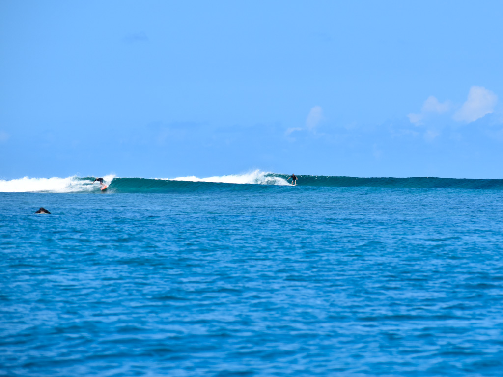 20220426-sOrOli-Web2048-SURF-2704-00081.jpg 20220426-sOrOli-Web2048-SURF-2704-00081.jpg