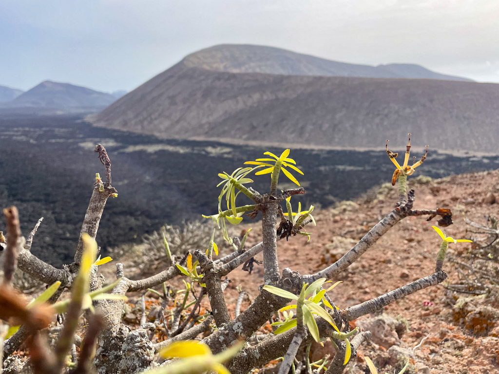 20220710-sOrOli-Web2048-IMG_5446.jpg 20220710-sOrOli-Web2048-IMG_5446.jpg